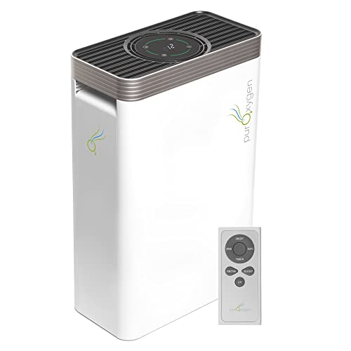 16 Best Air Purifiers for the Kitchen in 2022 Tastylicious