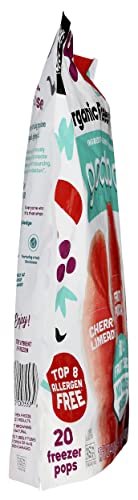 Goodpop 0856920005536 Organic Assorted Freezer Pops 20 Count thumb #2