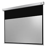 Celexon Leinwand Motor Professional Plus 300 x 169 cm