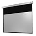 celexon Professional Plus Motor-Leinwand 90" | 200x113 cm 16:9