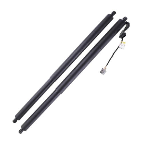 Supports de levage électrique pour réparer le hayon Ford Escape