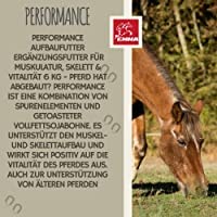 Sojaschrot Pferd & Amino Paste I Aufbaufutter mit Vitamin E Aminosäuren B-Vitamine 6Kg 30ml Zusatzfutter Muskelaufbau Pferd Protein Pulver Gewichtszunahme I Weight Gainer Zunehmen Untergewicht