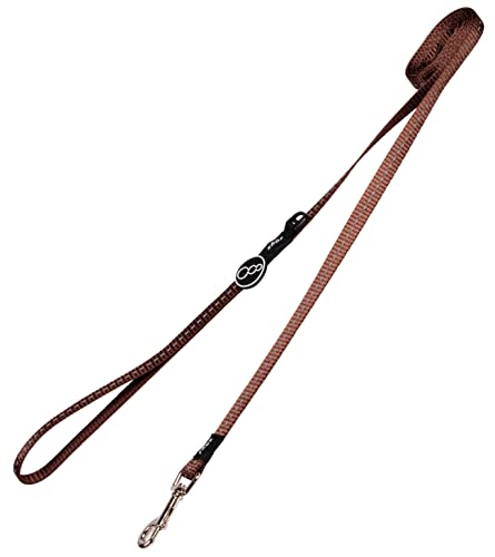 Reflective Dog Leash for Small Dogs, 3/8