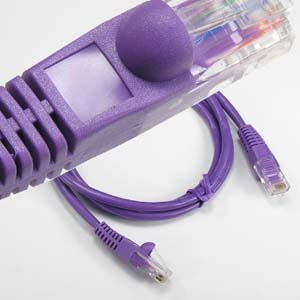 Cable Patch Cat 6 UTP 8 ft Morado miniatura 1