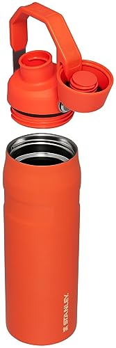 Image of Stanley IceFlow Fast Flow Water Bottle | Angled Spout Lid | Lightweight & Leakproof for Travel & Sports | Insulated Stainless Steel | BPA-Free