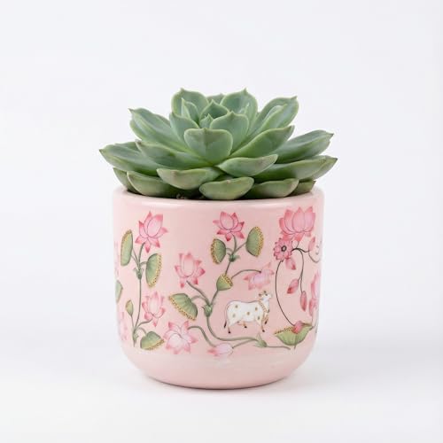 Image of Terracotta Planter - Premium Glass Coated Planters for Home Decor | Artistic Flower Pots for Garden & Indoor | Table Top Decor (Pink, M)