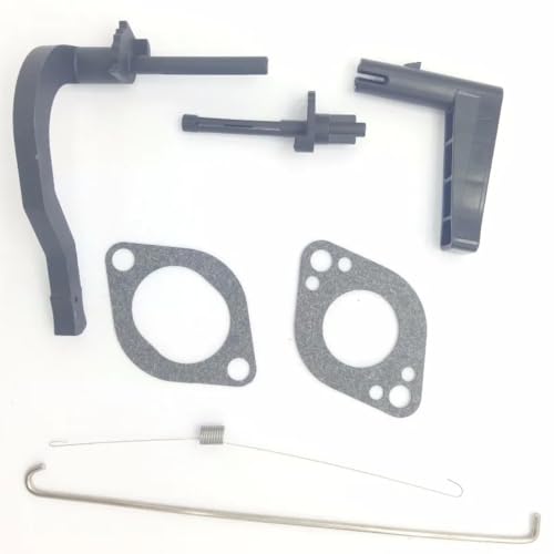 Carburateur souffleuse à neige pour moteurs modèles 591378 699966 699958 - 6