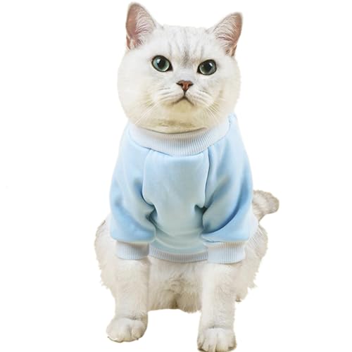 Image of Puppy Sweater for Small Dogs Winter Pullover, Light Blue L | Elastic Cuffs Pet Clothes, Holiday Party Matching, Fall Winter Daily Outfit, Soft Breathable Machine Washable Sweatshirt