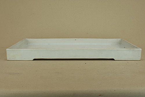 丸善　白磁水盤 Amazon | いよじ園 【水盤】 時代鉢 瀬戸丸善 白磁切立長方水盤