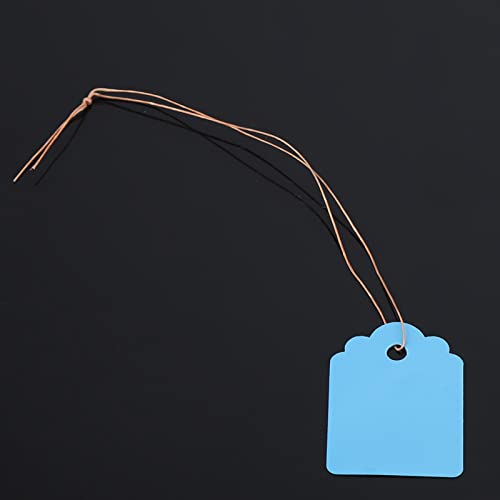 ZAWELIYO 200 Stück Wasserdichte PVC-Blumenetiketten Zum Aufhängen, Markierungsschilder Zur Pflanzenidentifikation, Ideal für Saatschalen und Jungpflanzen, Langlebiges Material für den Außenbereich