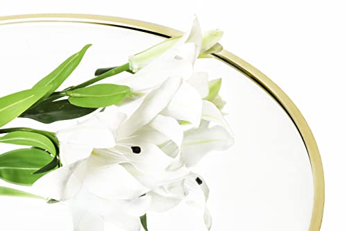 Frameworks 24" Deluxe Contemporary Brass Gold Circular Aluminum Mirror #TOP5