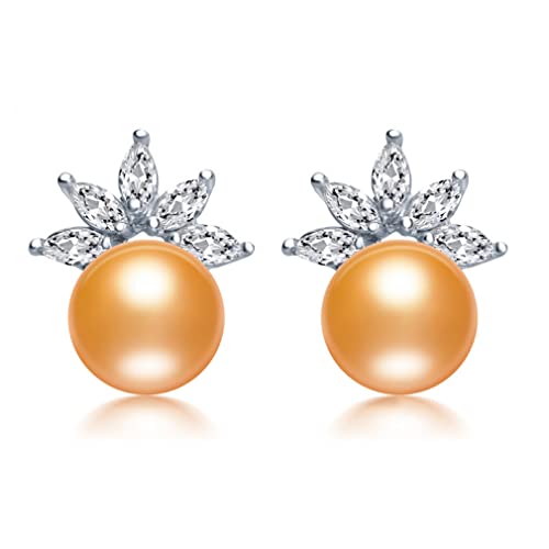 ODHLMFQ 925̂߂̃X^[OVo[t[CO100{̓VRW^̃CO