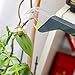 RB&G Humane Bug Catcher – Live Insect Catching Tool for Kids and Adults, Contactless Spider Catcher with Slide Closure, Insect Observation Toy
