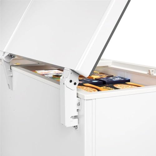 Freezer Horizontal Metalfrio 2 Portas 546 Litros DA550