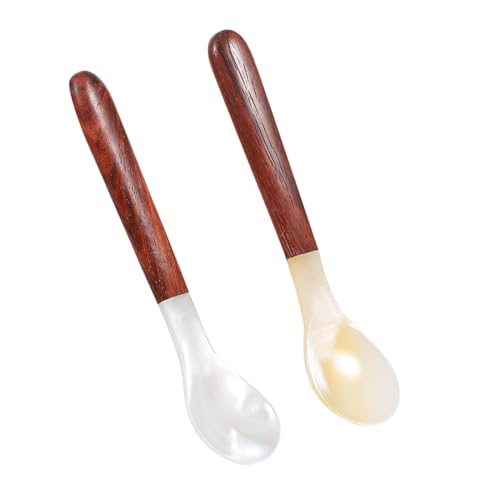 TIDTALEO 2個 天然シェルスプーン 木製ハンドル付き コーヒースプーン 調理やティースティアに 家 カフェ用