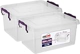 BH | 3L - 2 PCS Clear Plastic Storage Box with Lids | SMALL Size | Storage Containers Use for Home, office, Kitchen, Toys and Goods (3 Litres) - By BEST HOUSE