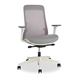 UPLIFTDESK Bolan High Back Ergonomic Office Chair - Lumbar Support, Mesh Back, 4D Armrests, and 40° Recline Desk Chair with 11-Point Adjustability, Cylinder Options, 300 lb Capacity (Fog)