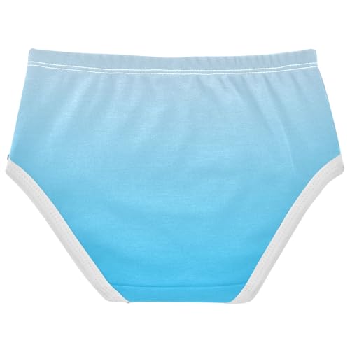 Joisal Durable Girls Underwear Toddler 2t Cotton Panties for Girl Magnolia Deep Sky Blue Gradient Kids Briefs Undies2