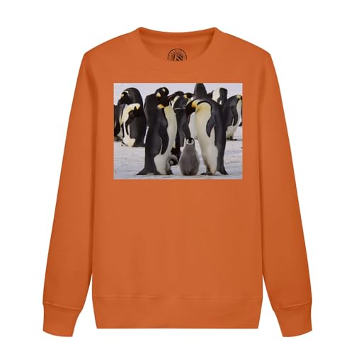 Sweat enfant pingouins banquise pull animaux sauvages parents bébés