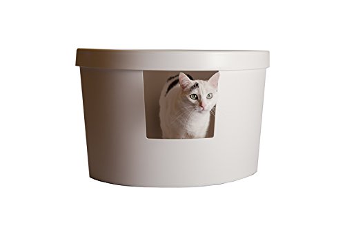 kitangle litter box