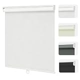 Changshade Blackout Roller Shades