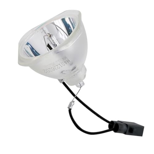 EX7230 bloc de rechange haute luminosité pour lampe de projecteur