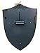 VETERIS Real Medieval shield Fully Functional Red Cross Warrior Templar Shield Best Replica Product, Silver