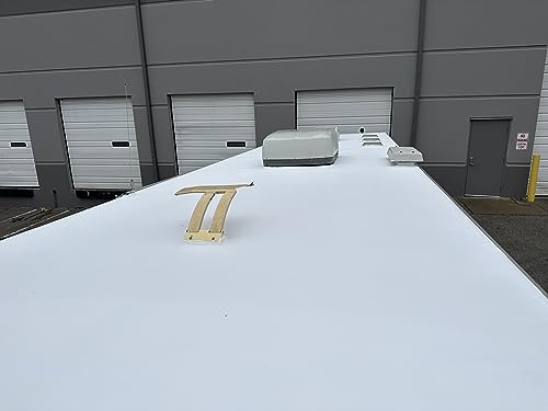 100% Silicone Roof Sealant - Self Leveling - Complete Waterproofing - Easy One Coat Application - Designed for Your RV, Camper, Trailer, Commercial Building... (1 Gallon, White)