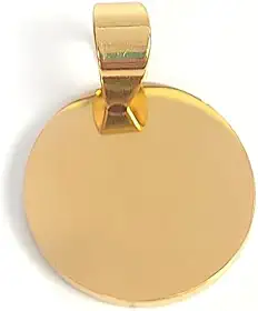 Plaquinha de Identificação Personalizável com Gravação a Laser para Cão ou Gato, Aço Inoxidável (Dourado)