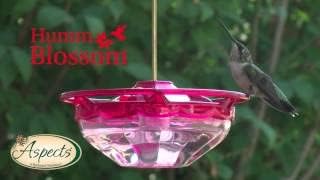 Aspects HummZinger HummBlossom - Rose - Image 4