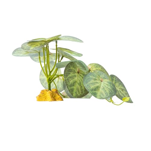 Uqezagpa 爬虫類植物 隠れ草 柔軟な葉 テラリウム ジャングル トカゲ ヘビ 装飾用 偽植物
