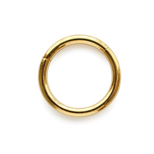 [WG{bNX] JewelVOX sAX {fBsAX t[vsAX 14G 16G 18G T[WJXeX316L Ўp AM[Ή S[hy8mmz 14G