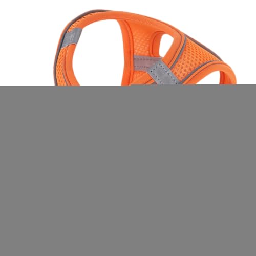 Jnilepfd Lbg EH[LO n[lX - \ LpxXg^n[lX S݌v,^ ^ ^ ybg xXgJ[ oR Lv AEghAp