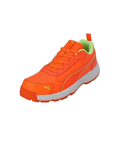 Puma Men Cricket Classicat Cricket Shoe