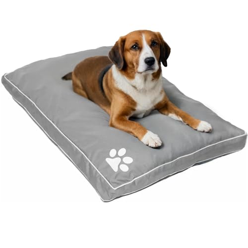 Large and Extra Large Dog Beds Cushion Waterproof Mattresses Washable Zipped Cover With Cushion | Super Soft Cosy Plush Comfy Heavy Duty Dogs Puppy Pet Bed Mattresses Cushions (L Grey)