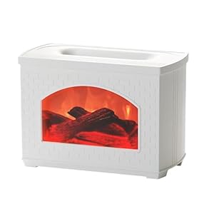 Generic Kamin-Flammendiffusor 270 ml Luftbefeuchter