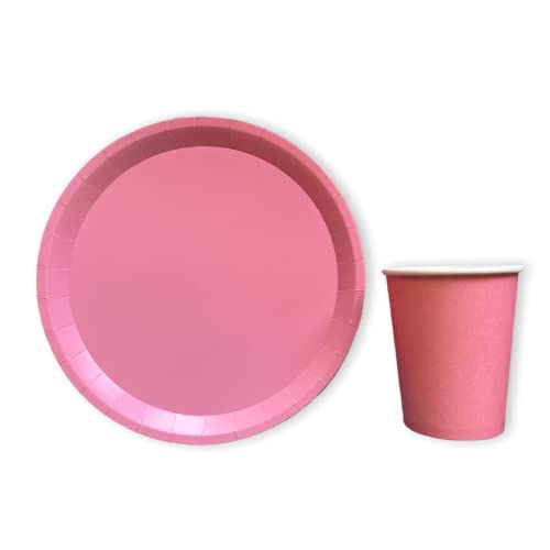 Vajilla cumpleaños desechable compuesta por 10 vasos y 10 platos de carton biodegradable- Set platos y vasos para cumpleaños, fiestas, picnic, camping, baby shower - Set de cumpleaños desechable Cover