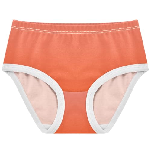 Joisal Cotton Toddler Underwear Floral Coral Pink Orange Red Gradient Panties for Girl Fun Kids Briefs Undies 2t