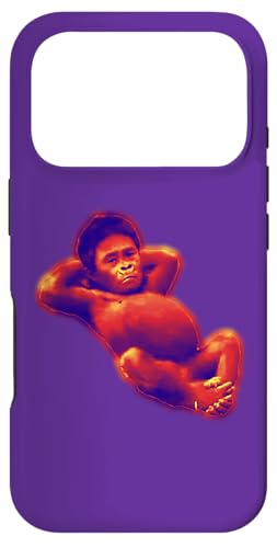 �n�}���� �X�}�z�P�[�X iPhone 17 Pro �p