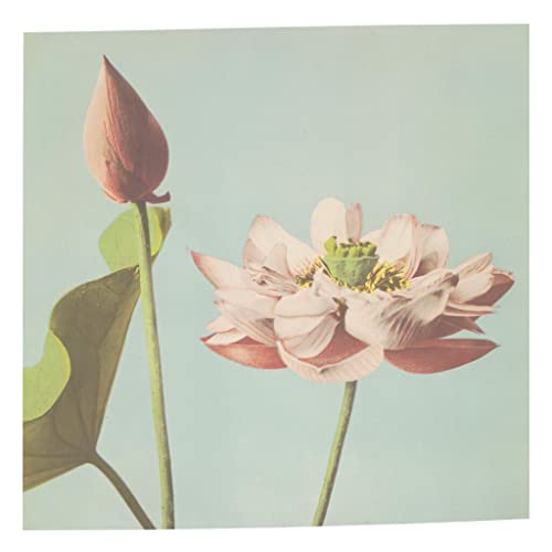 Poster Lotus Rose Peinture Vintage pour une Ambiance Salon Zen