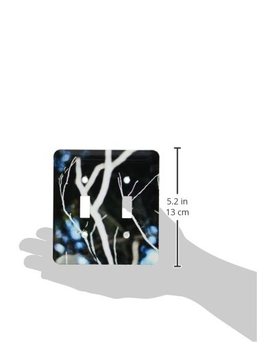 Double interrupteur 3dRose lsp_79929_2 pour remplacer plaque murale