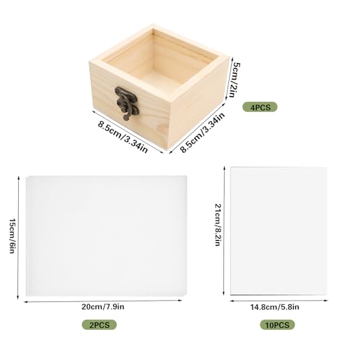 Herstellung von Insektenproben Werkzeug Kit,4 Insekt Vitrine 10 Flügel Presspapier 200 Insektenstiften 2 EVA Butterfly Montagetafeln 2 Pinzette 1 Schere,Insektenproben Sammeldisplay für Käfer