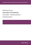 maria maria graz  Santa María de Guadalupe: Leerstellen – Glaubenssachen – Zwischenwelten (Grazer Beiträge zur Europäischen Ethnologie)