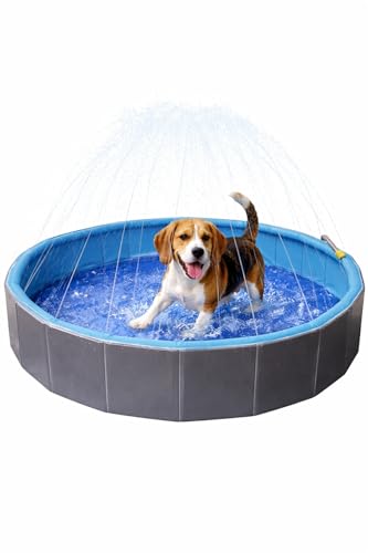 Piscine pour animaux Flamingo avec jet d'eau pour rafraîchir votre chien au jardin