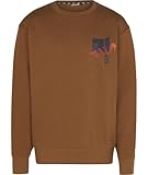 FILA FILA Jungen TRNAVA Crew Sweat Sweatshirt, Nuthatch, 158/164