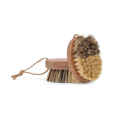 Veggie Wash Vegetable Brush Potato Scrubber Efficient Food Cleaning Tool for Kitchen Use Two-Piece Set with Practical Design for Daily Cooking Tasks