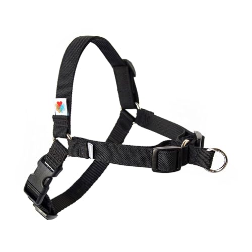Wildebeest No Pull Dog Harness | KȌpg[jOn[lX | ʓIȈh~n[lXfUC | ^ɗzIȌpn[lX | 4_߉\ (M - 22~28C` ́AubN)