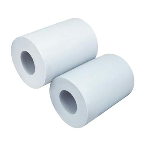 Zefiro, 2 Spazzole Wonder Kanebo PVA Corte per Piscine con Rivestimenti in Mosaico/Piastrelle/Vetroresina o PVC con Gradino di Sicurezza per Robot Pulitore Piscina Dolphin / 9995560-ASSY