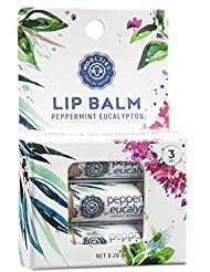 Lip Balm Set: All-Natural Shea Butter, Beeswax, Coconut Oil, Vitamin E Infused Lip Moisturizer Care (3 Pack, Peppermint Eucalyptus)