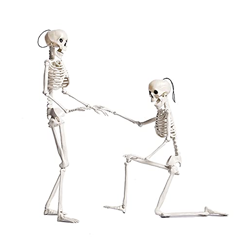 23.6" Halloween Skeleton Decor Full Body Skeleton With Movable Joints For Halloween Decorations Spooky Party Decoration, Haunted House, Indoor Outdoor Props Decor #TOP1